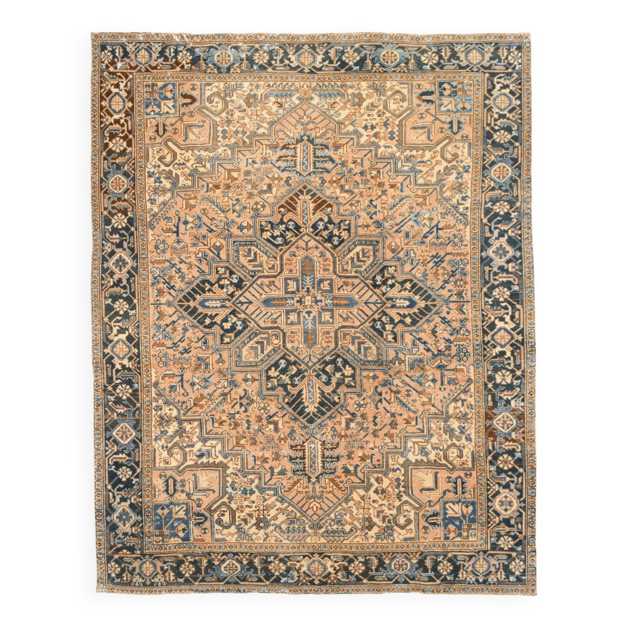 9x11  Pink & Navy Blue Classic Persian Rug, 263x328Cm