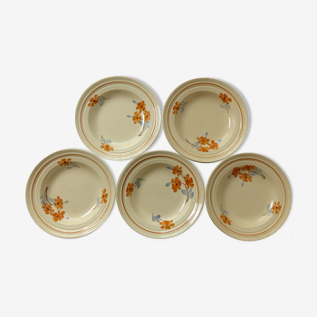 5 earthenware plates