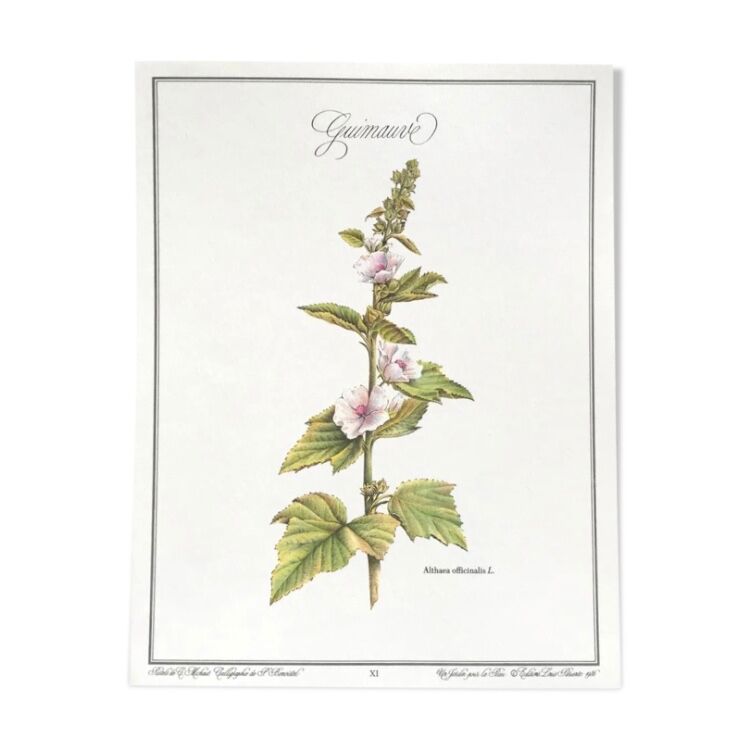 Botanical board the marshmallow