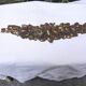 Antique furniture frieze in bronze with floral motifs, Louis XVI style.