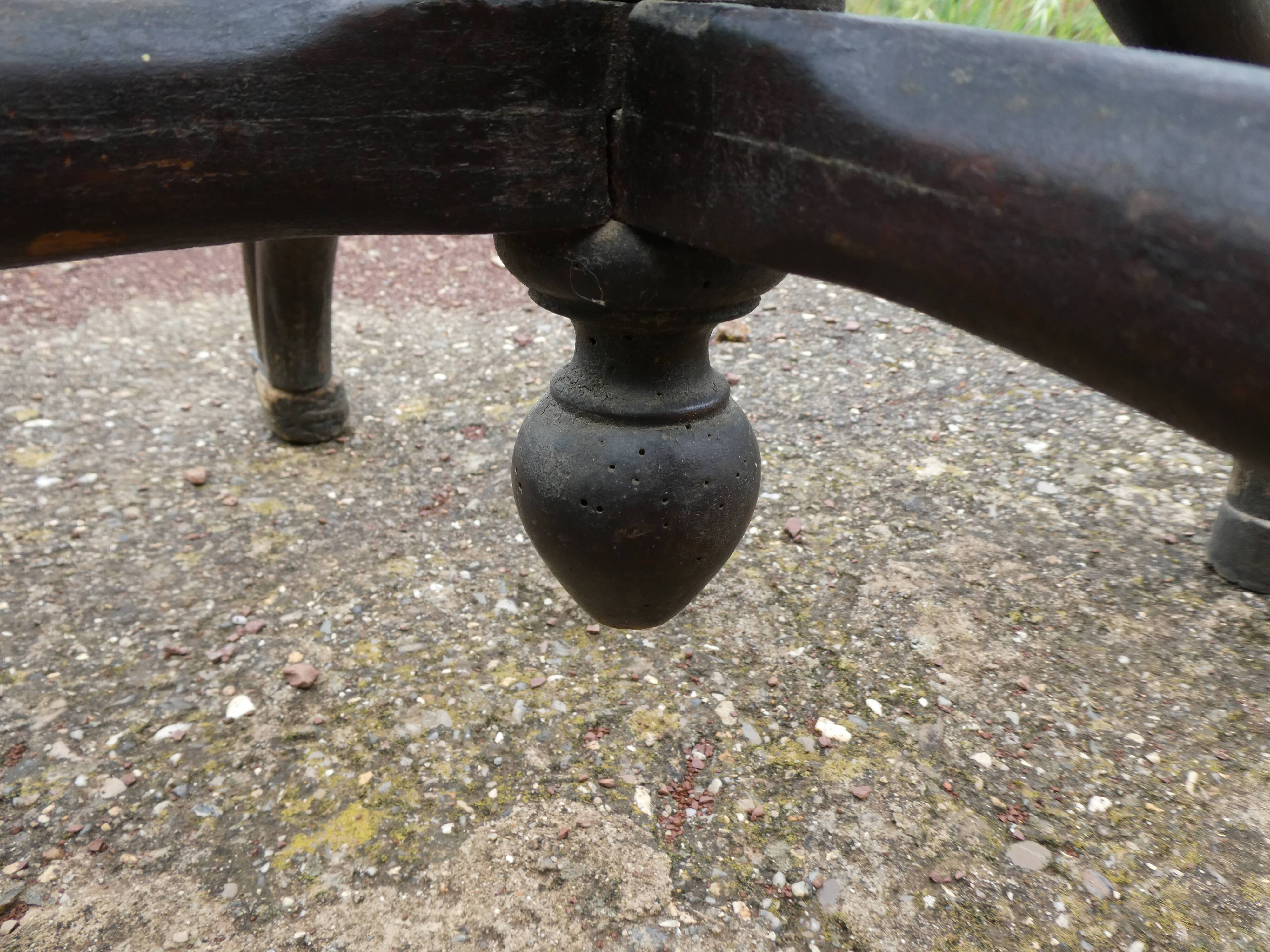 Parrot coat holder in curved wood - Art Nouveau
