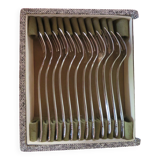 Box of 12 oyster forks in silver metal