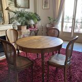 Table à manger extensible et 8 chaises