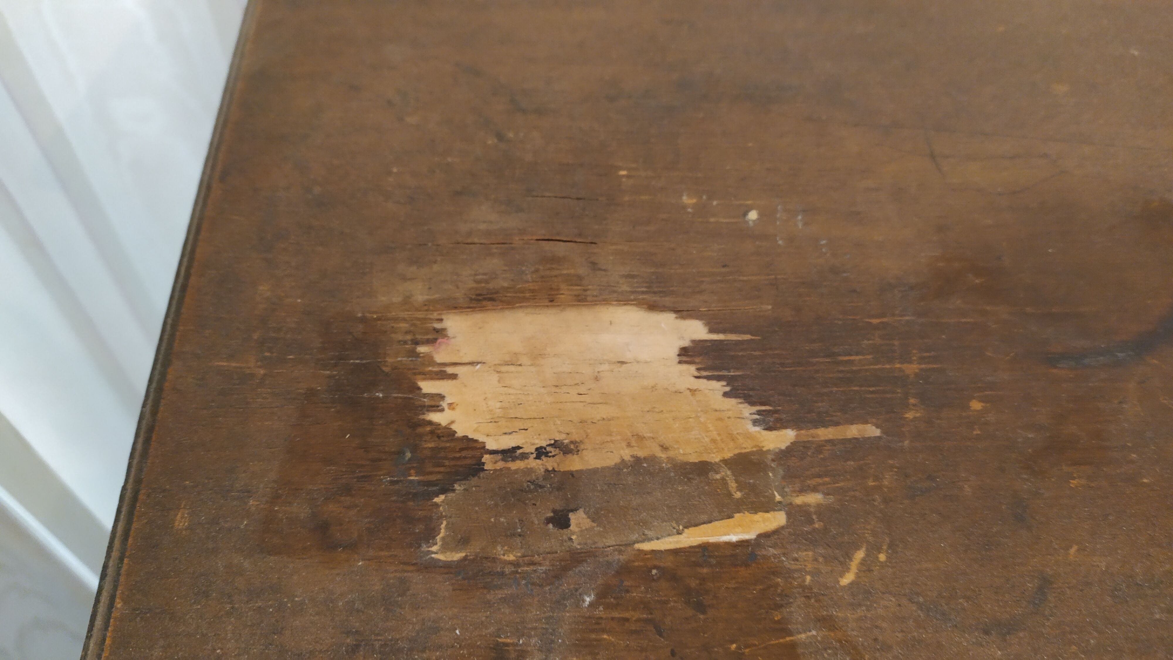 Library louis 15, old, door with fence