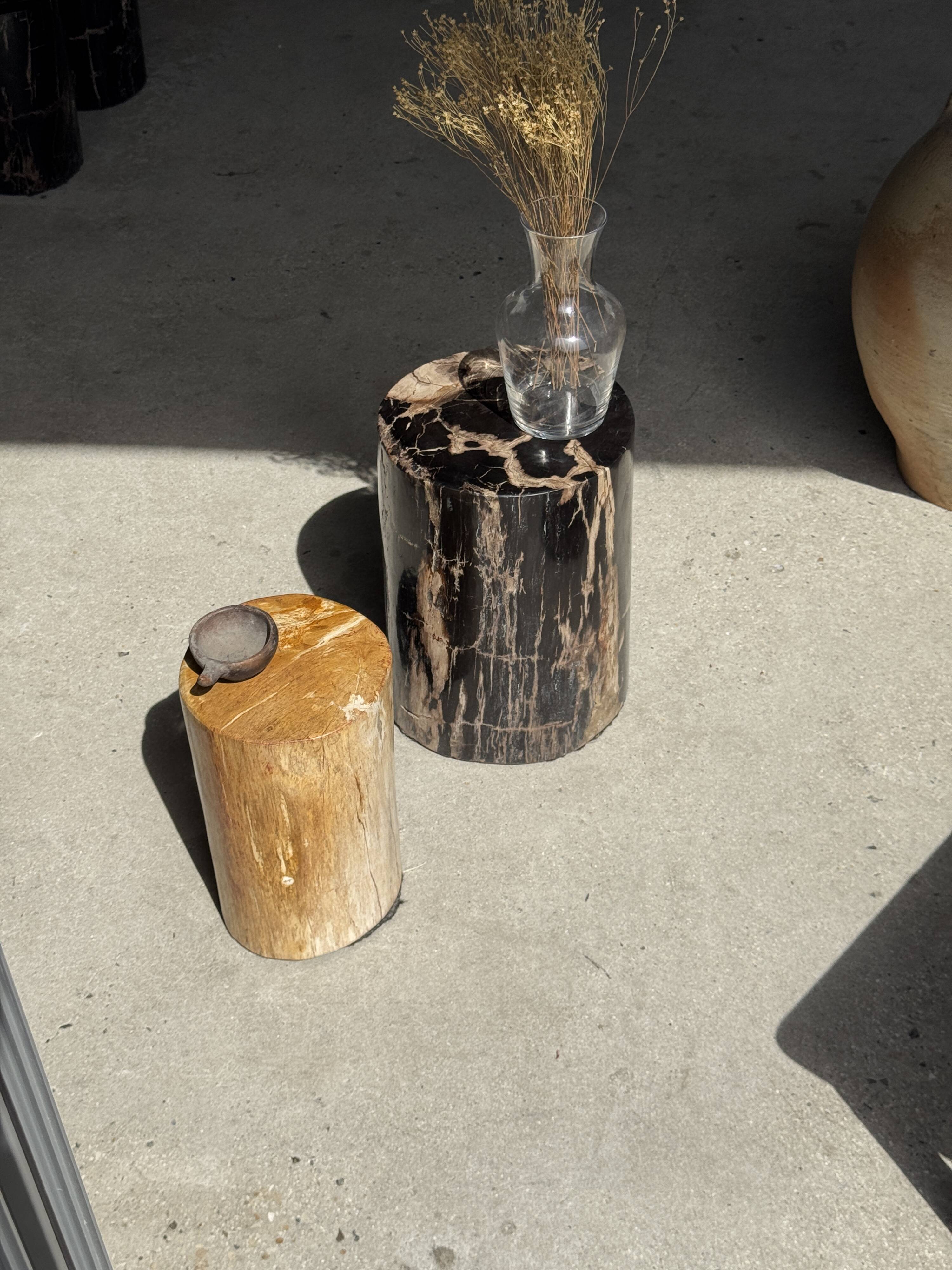 Black petrified wood side table with beige stripes and a semicircular shape.