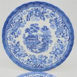 Duo of plates