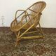 Rattan shell armchair