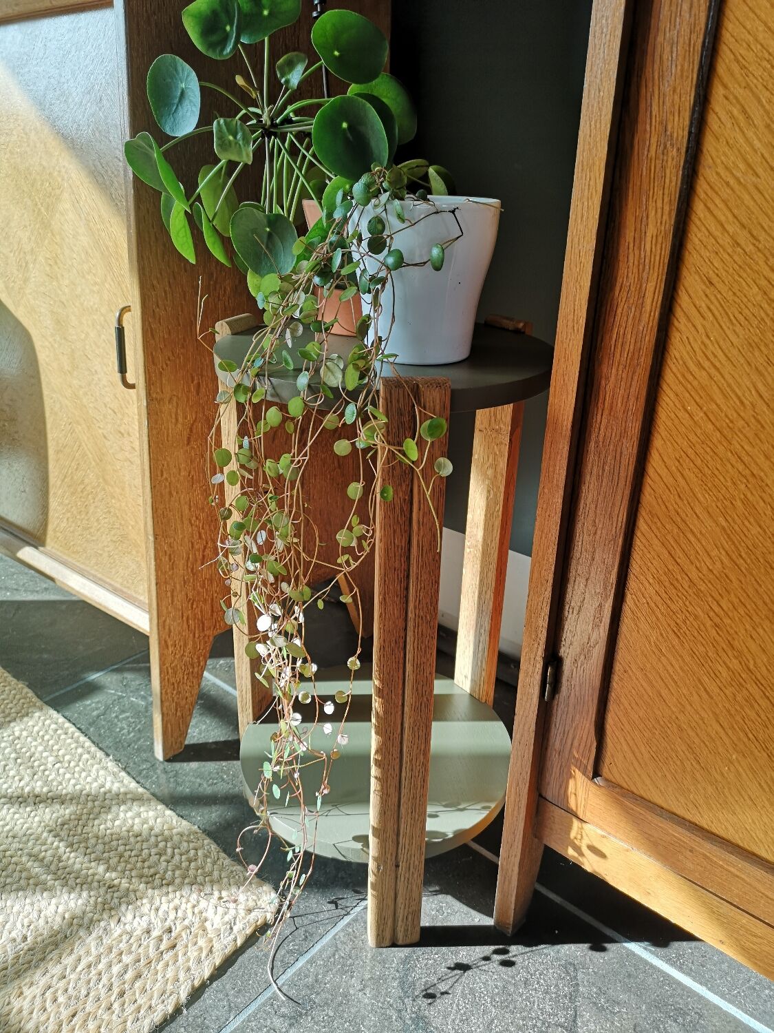 Renovated oak harness