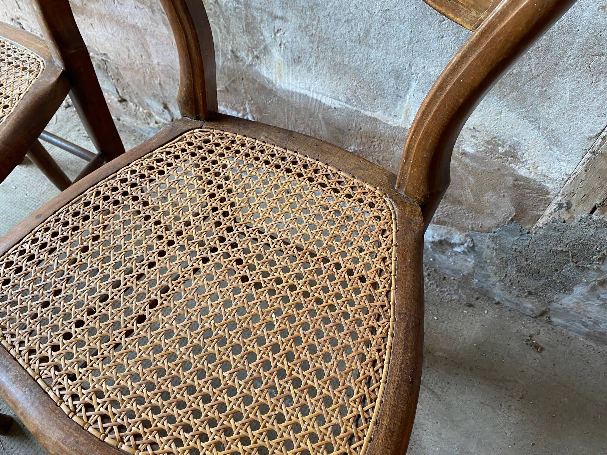 Set of 7 antique chairs canning and wood 1900s