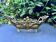 Brass jardinière from the Art Nouveau period.