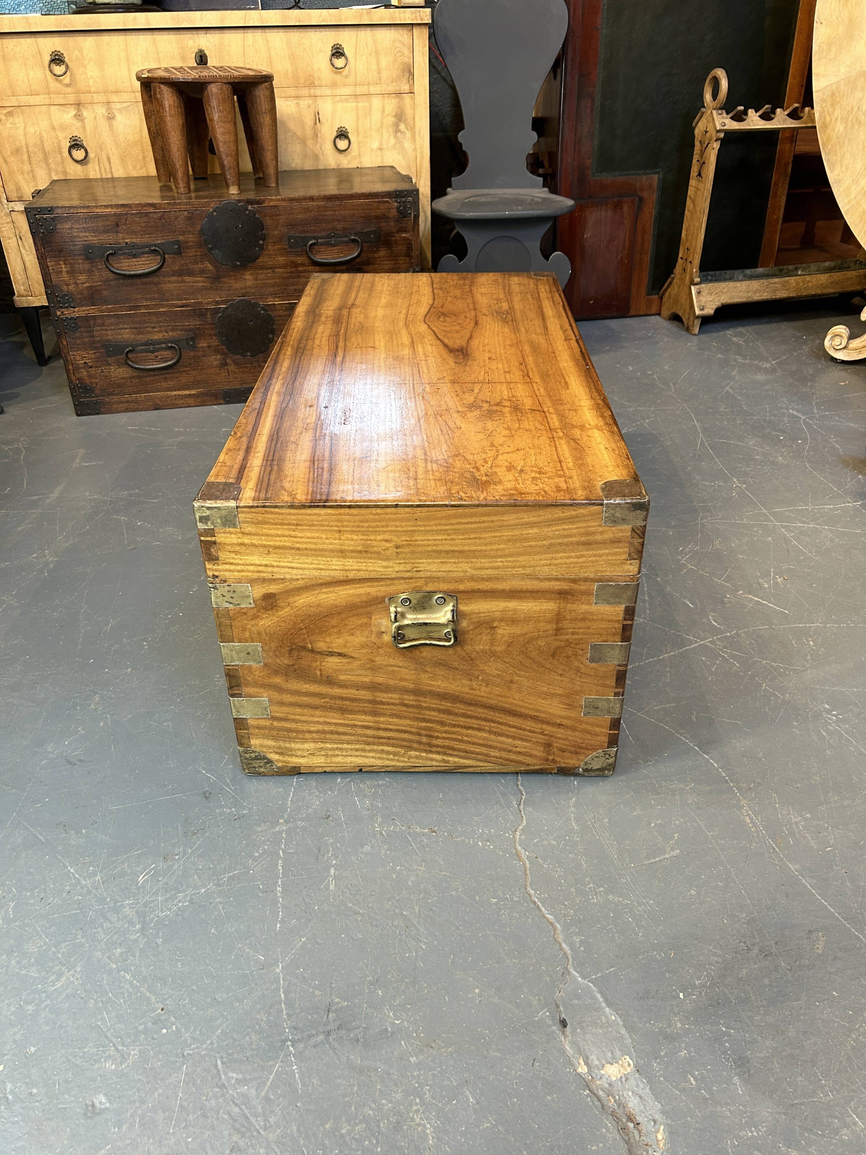 Campaign Camphor Trunk