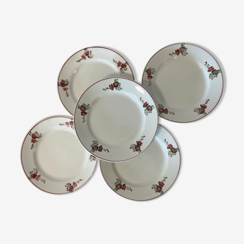 Set of 6 flat plates "Minerve" from the Fenal Frères manufacture