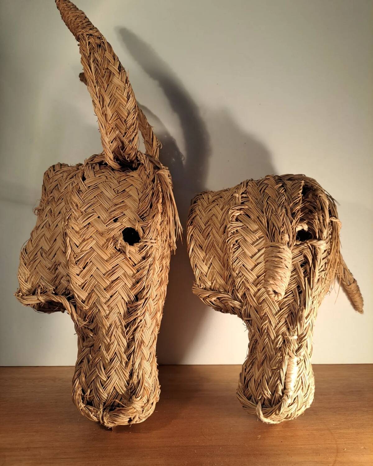 Wall decoration 2 seagrass animals