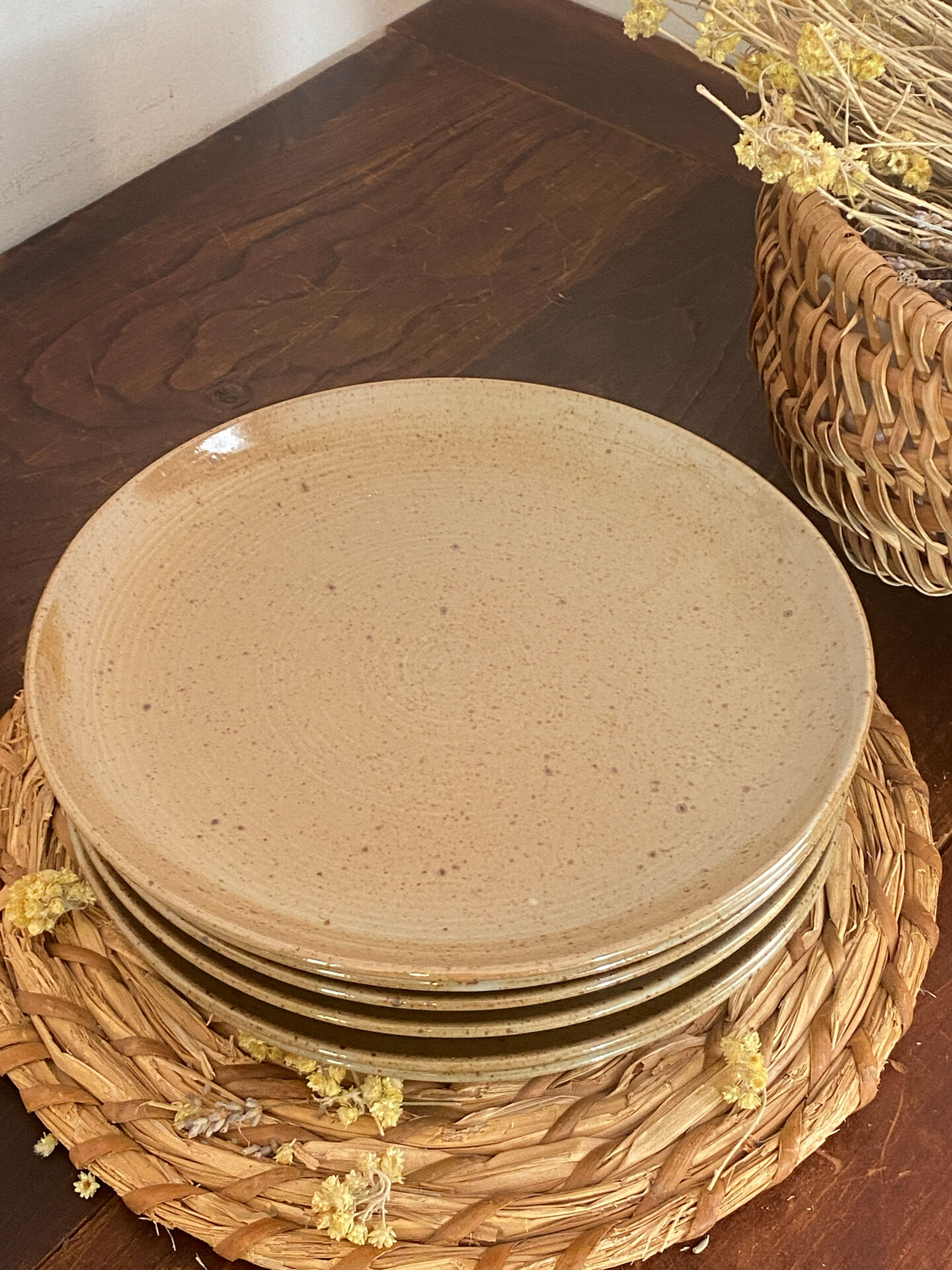 Stoneware plates, Manoir Stoneware