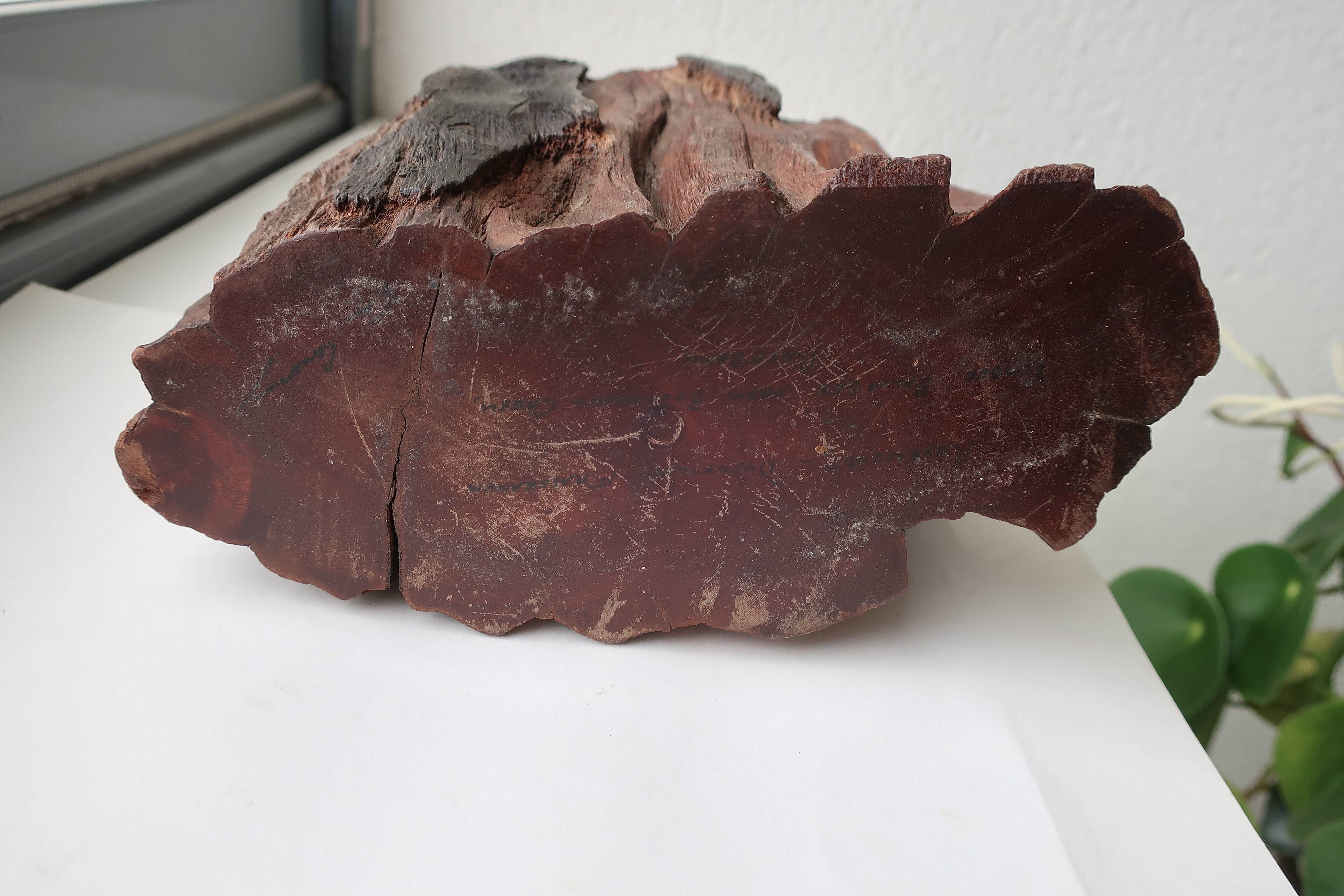 Vase Sculpture 20th Century Australian Rosewood DLG Doug Ayers