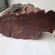 Vase Sculpture 20th Century Australian Rosewood DLG Doug Ayers