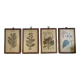 Set of 4 botanical boards with wooden frames