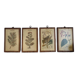 Set of 4 botanical boards with wooden frames