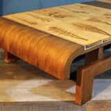 Herbarium Capron coffee table, 1960s