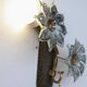 Set of 2 Murano Wall Light Black Flowers, 1970s