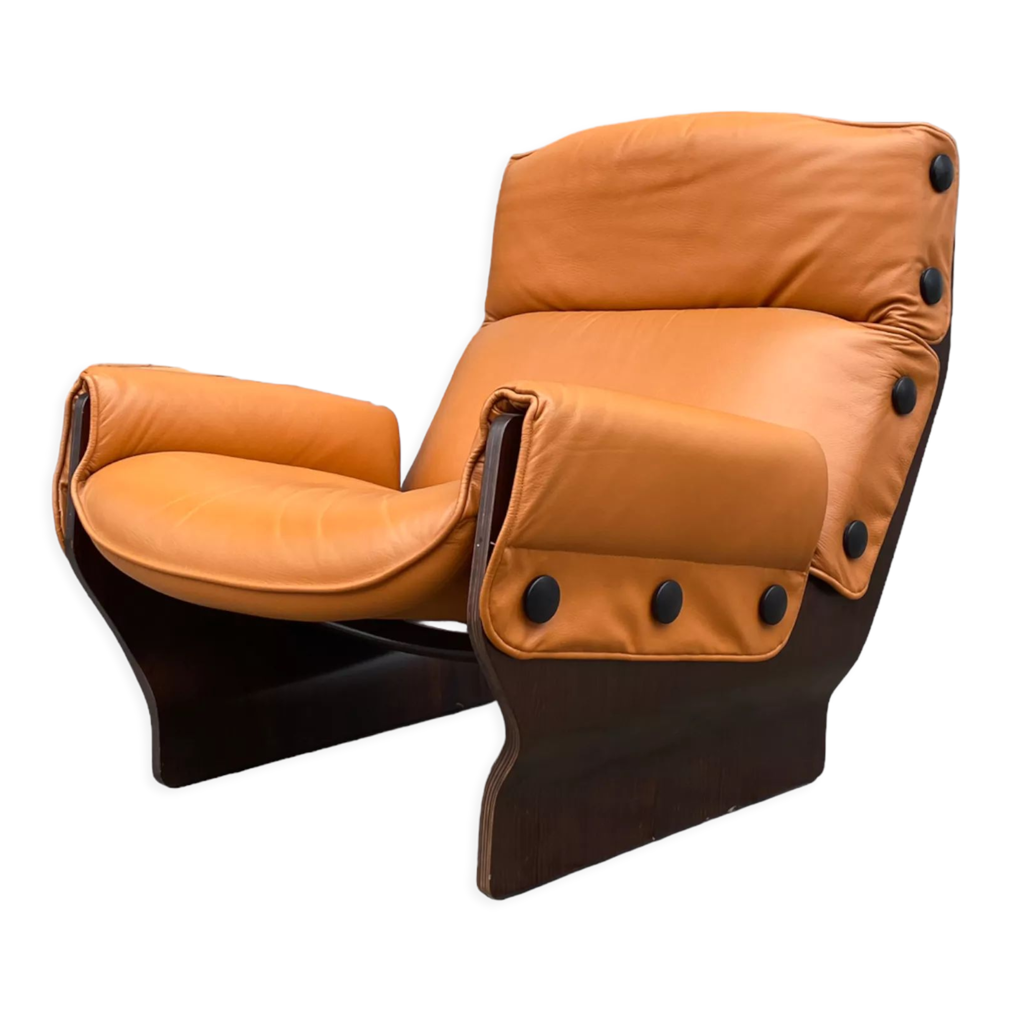 Lounge chair P110 Canada by Osvaldo Borsani for Techno, 1970s