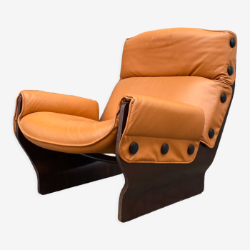 Lounge chair P110 Canada by Osvaldo Borsani for Techno, 1970s