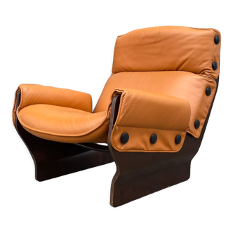 Fauteuil P110 Canada par Osvaldo Borsani pour Techno, années 1970