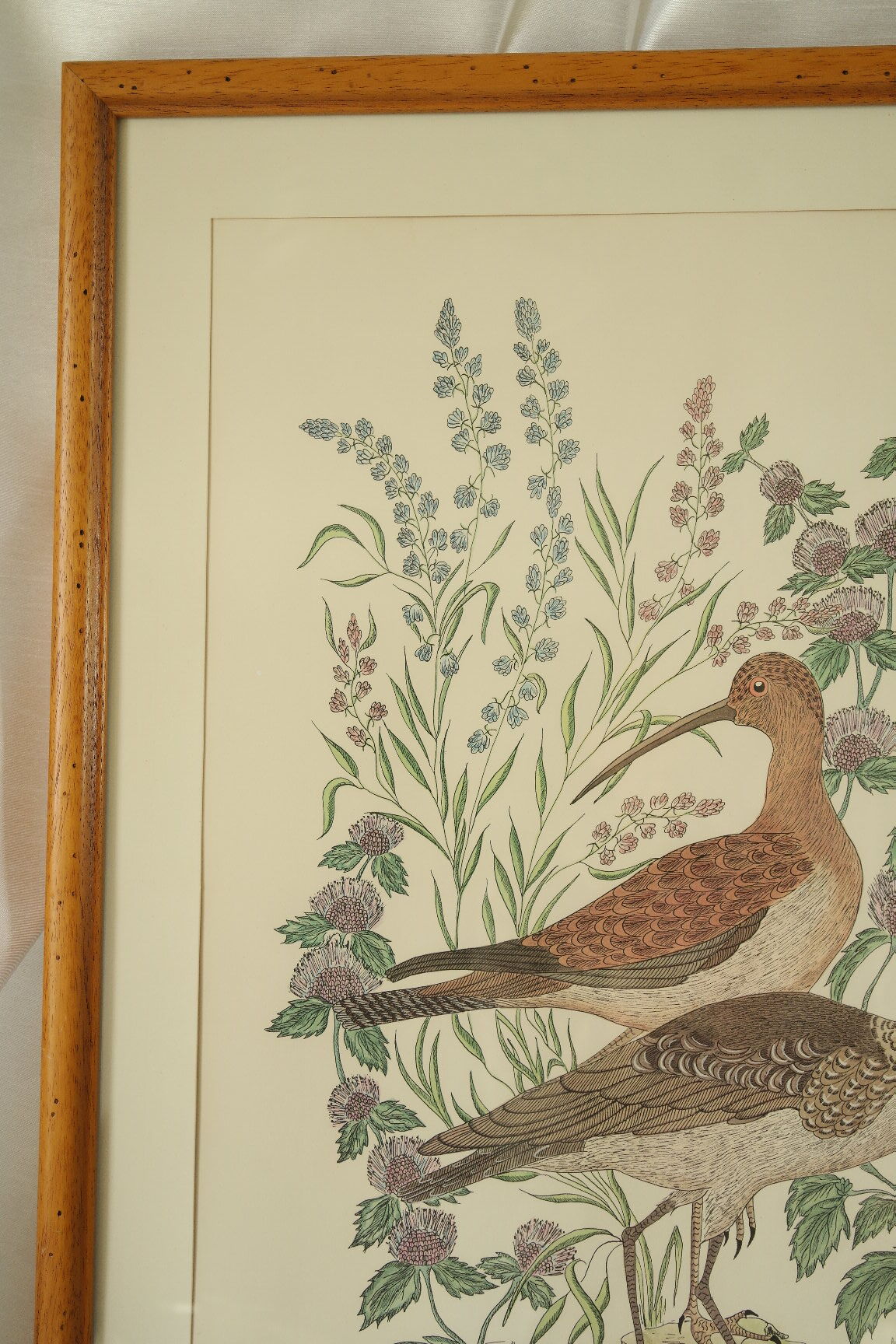 Tableau vintage aquarelle ducks of terronblan monbaly dayelle