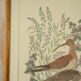 Tableau vintage aquarelle ducks of terronblan monbaly dayelle