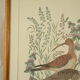 Tableau vintage aquarelle canards de terronblan monbaly dayelle