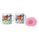 paire de mugs Kiln Cratf, Poterie Anglaise, Staffordshire, Made in  England, vintage