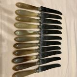 12 horn handle knives