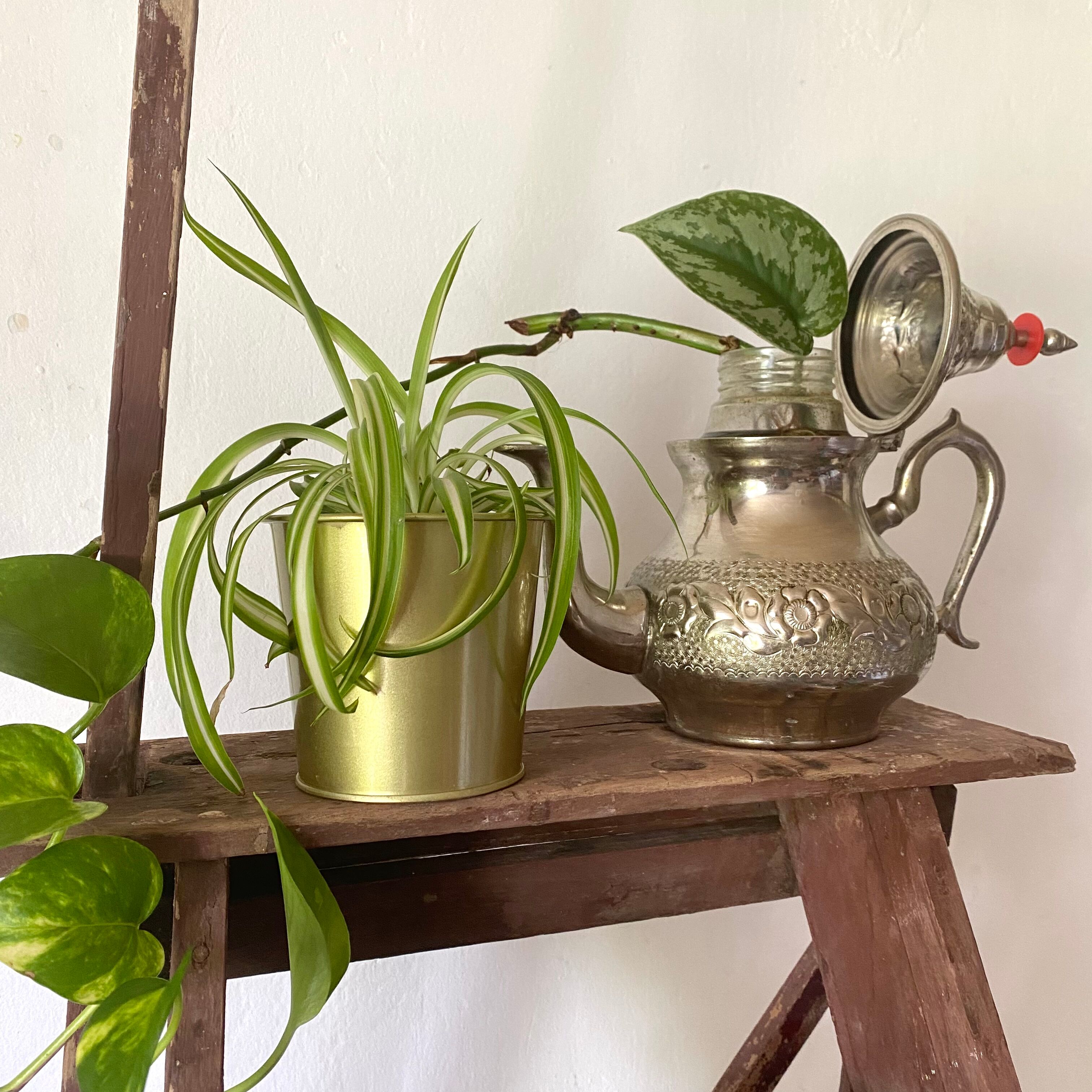 Ancient painter's stepladder