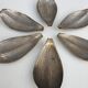 Set of 6 petals brass display