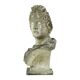 Beautiful Weathered Apollo Bust Garden Statue Cast Stone 65cm