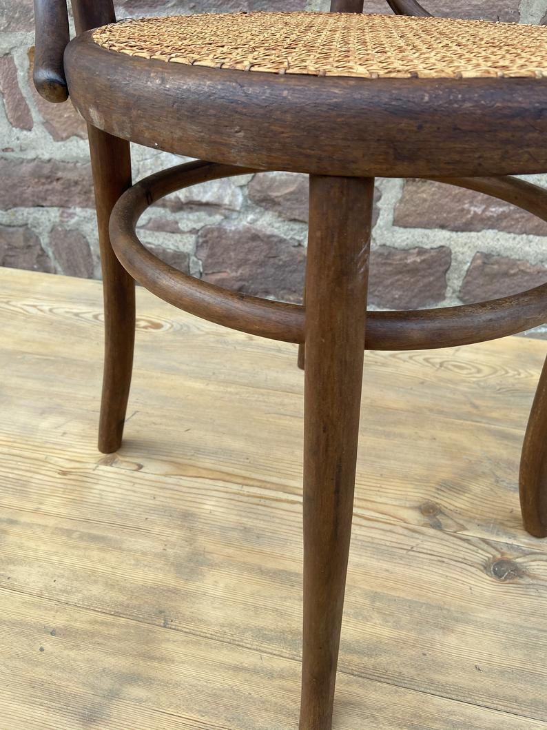 Tuna and curved wooden bistro chair