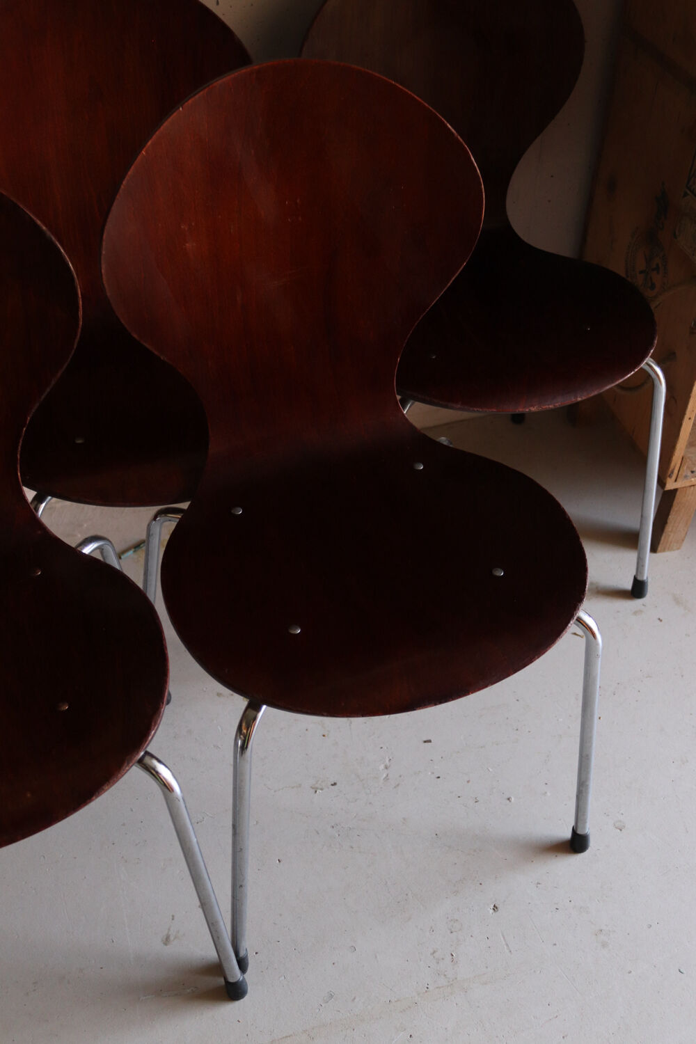 5 chaises style fourmi en contreplaqué moulé et métal chromé, esprit s