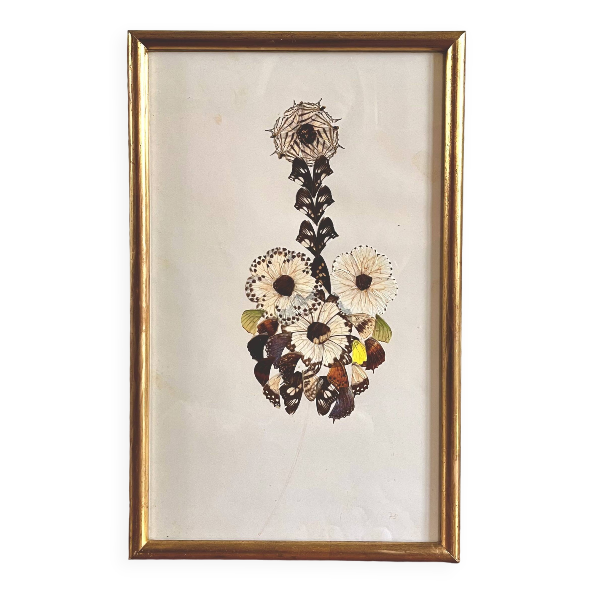 Vintage flower collage made from butterfly wings
