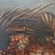 Hst painting still life basket of overturned fruit 19th - 20th century