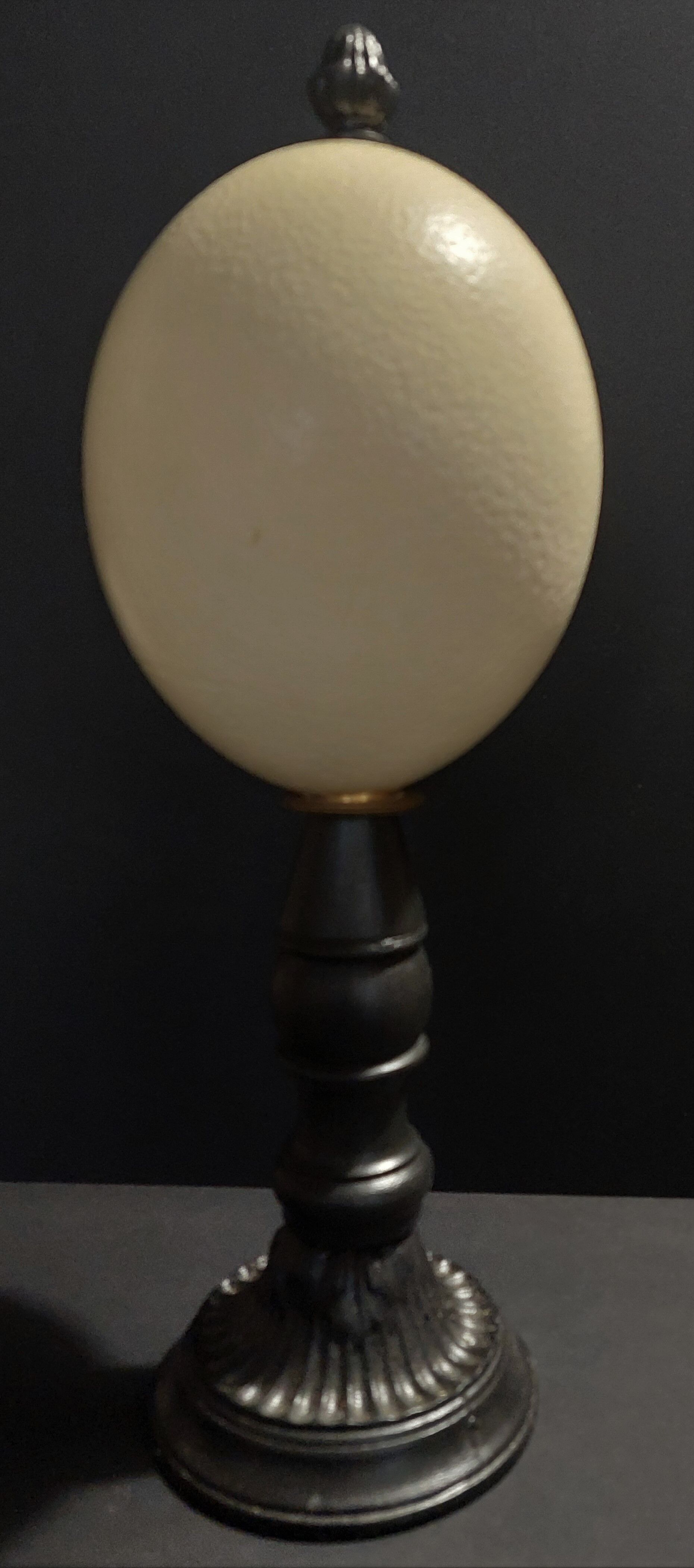 Cabinet de Curiosités oeuf d'autruche struthio camelus sur socle
