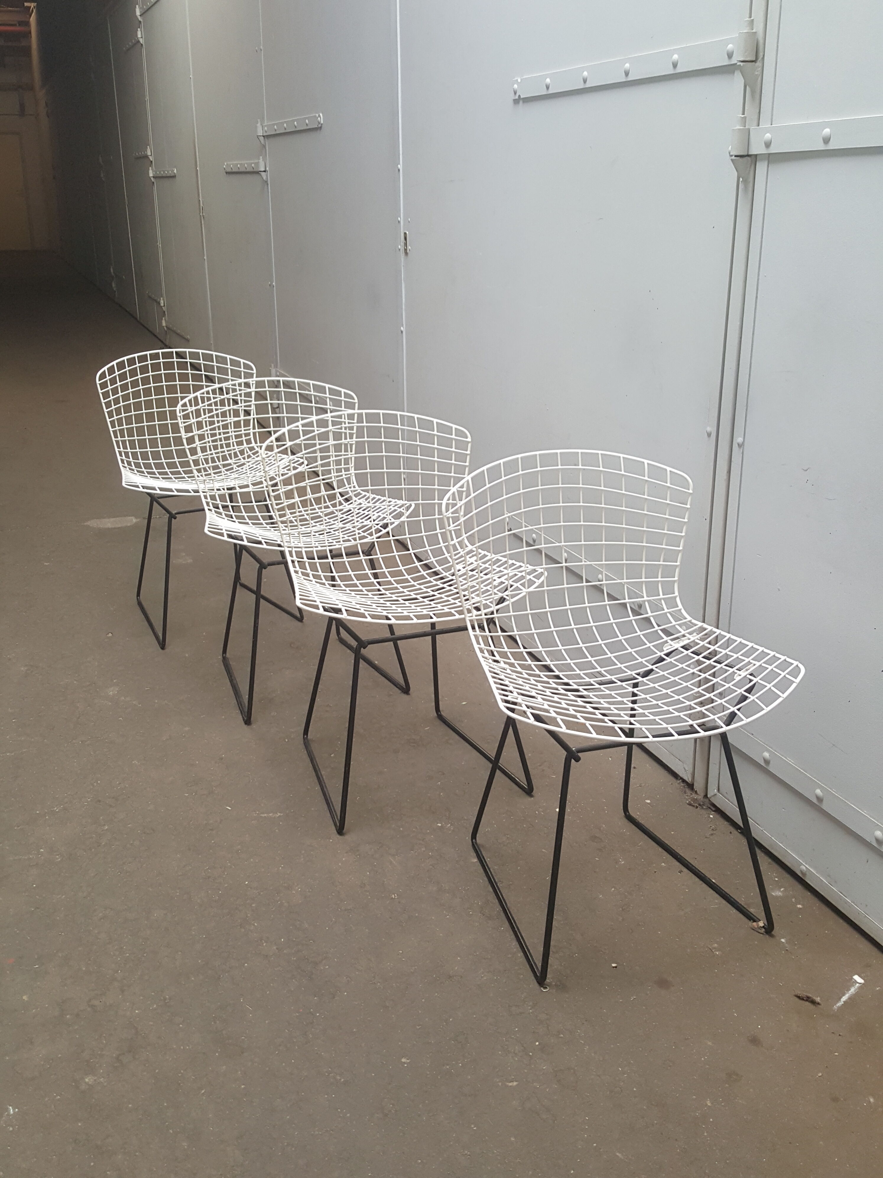 Lot of 4 Bertoia chairs