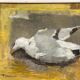Original Swedish Oil on Canvas – “Seagull” by Ingeborg Stragnell – Signed