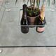 Marais international mtb110 - exceptional coffee table in altuglas & glass
