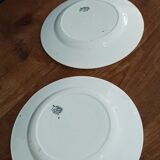 Set of 2 decorative plates