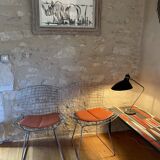 Chairs by Harry Bertoia 1960