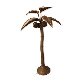 Palm tree