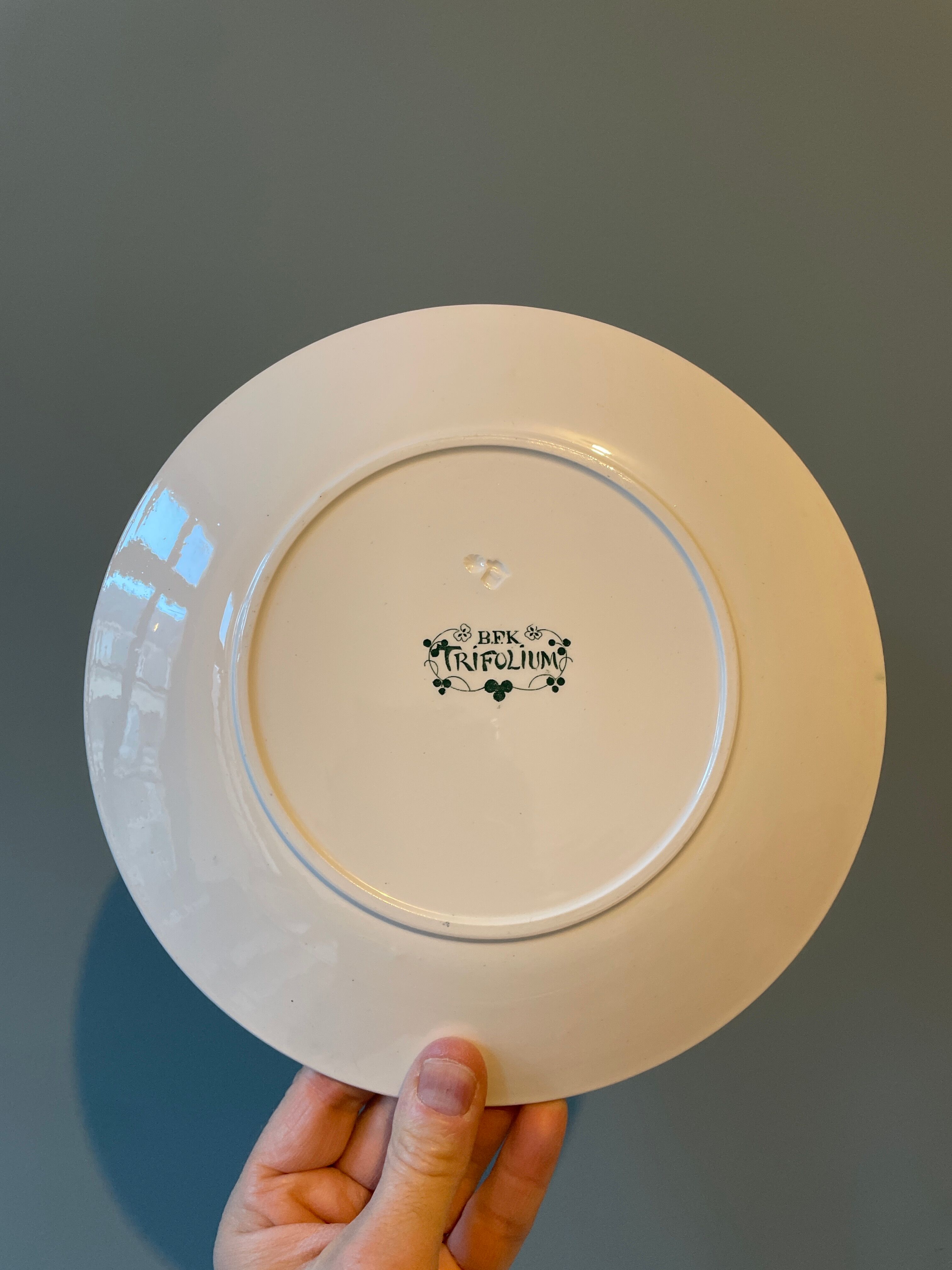 Set of 6 flat plates XIXth Boch Frères Keramis, "Trifolium"