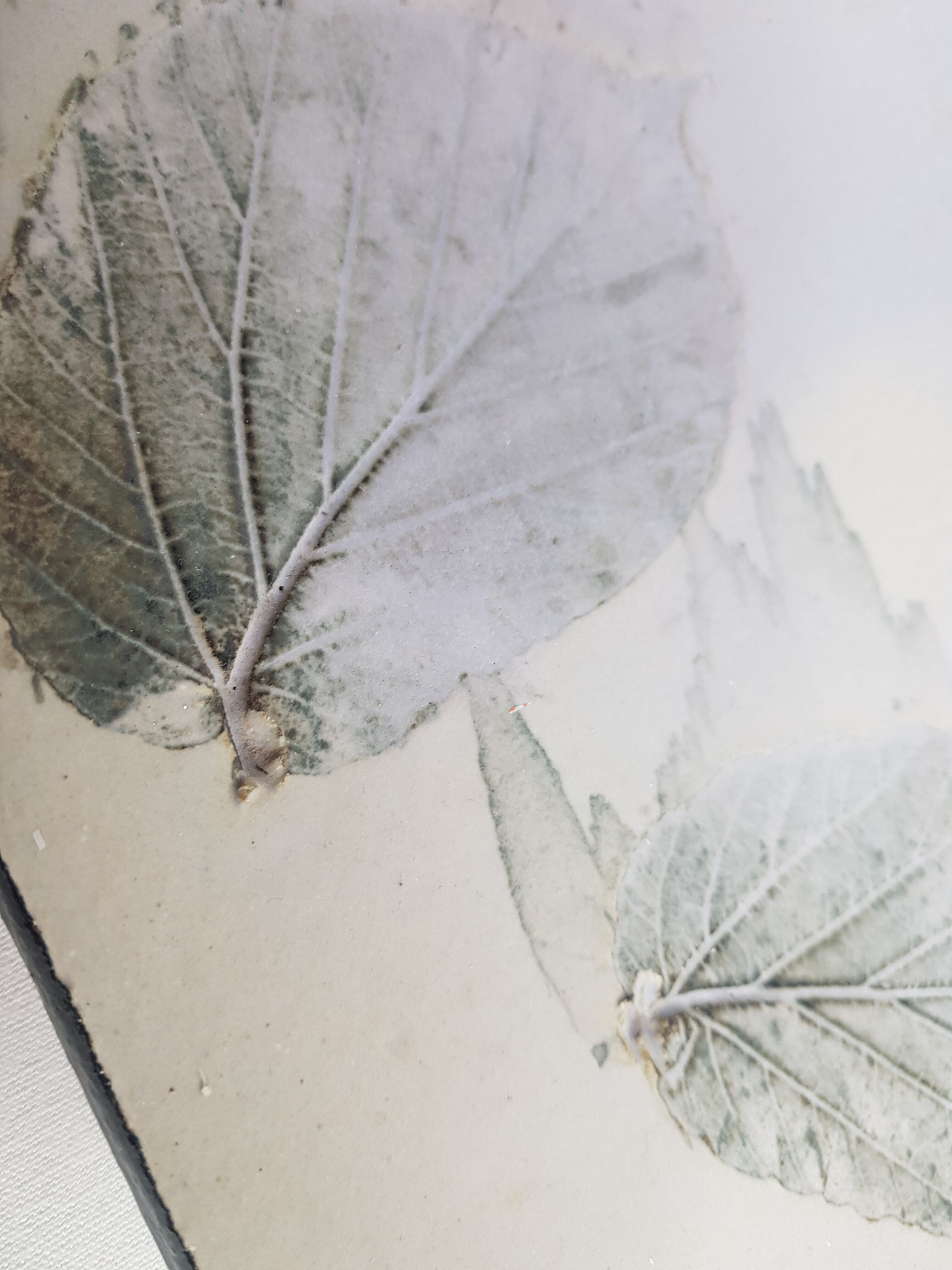 Enamelled sandstone dish with Tilleul leaf prints, 27 cm