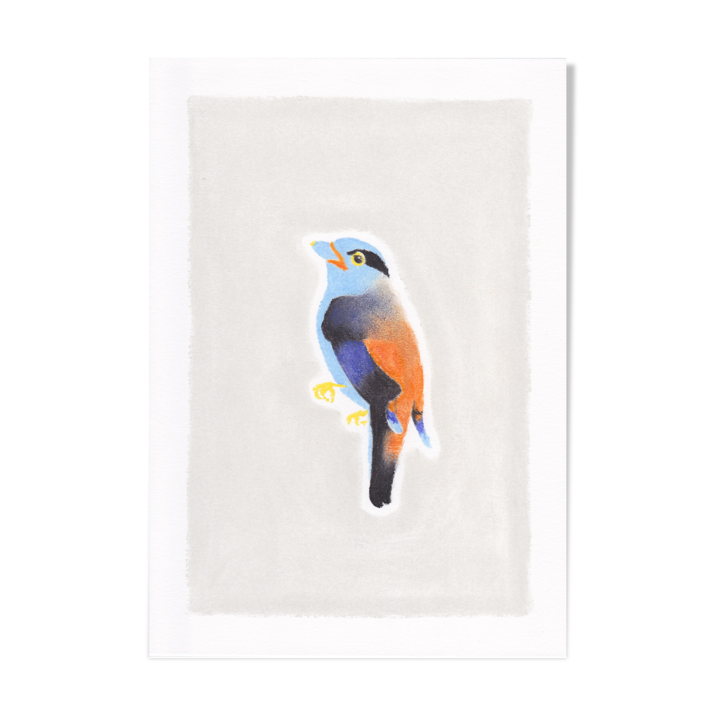 Bird "Eurylaine" - Original drawing