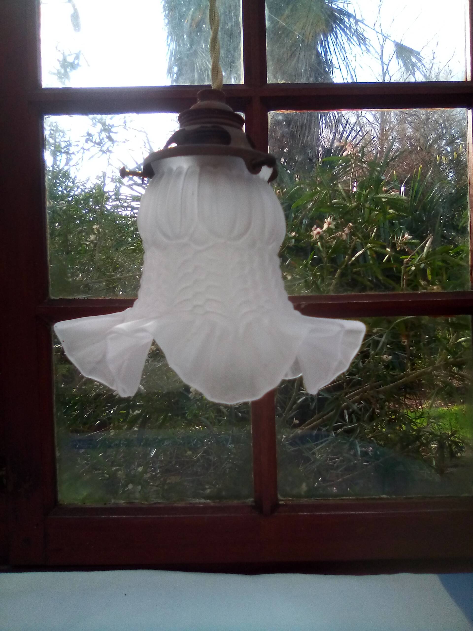 Glass tulip pendant light